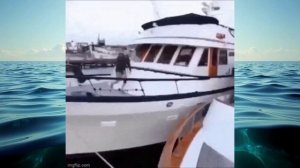 НУ ЕГО, ЭТО МОКРОЕ ДЕЛО