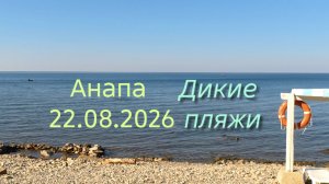 Анапа 22.08.2026 дикие пляжи