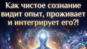 Как чистое сознание видит опыт, проживает и интегрирует его.