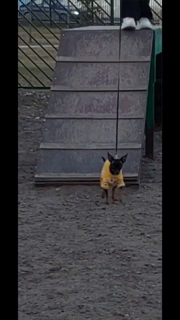 кто поставит лайк