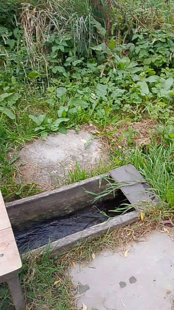 Родниковая вода в Кубасово 22.08.2026.