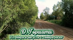 Деревня Горшата, улица Мира в августе с севера на юг.mp4