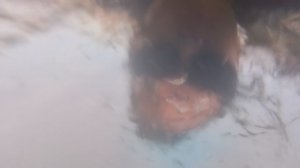 1000007855.mp4