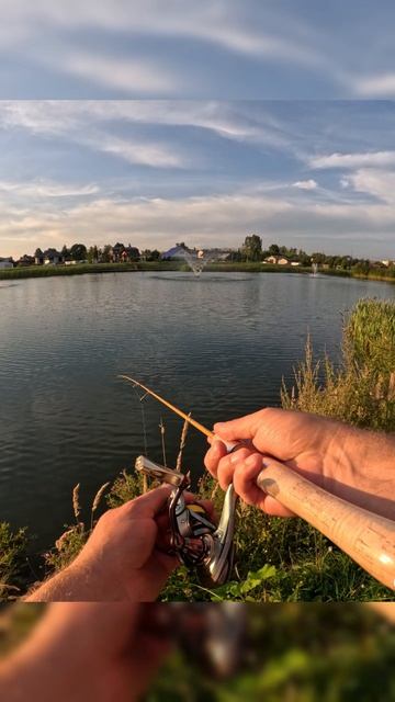 Спиннинг для мормышинга #мормышинг