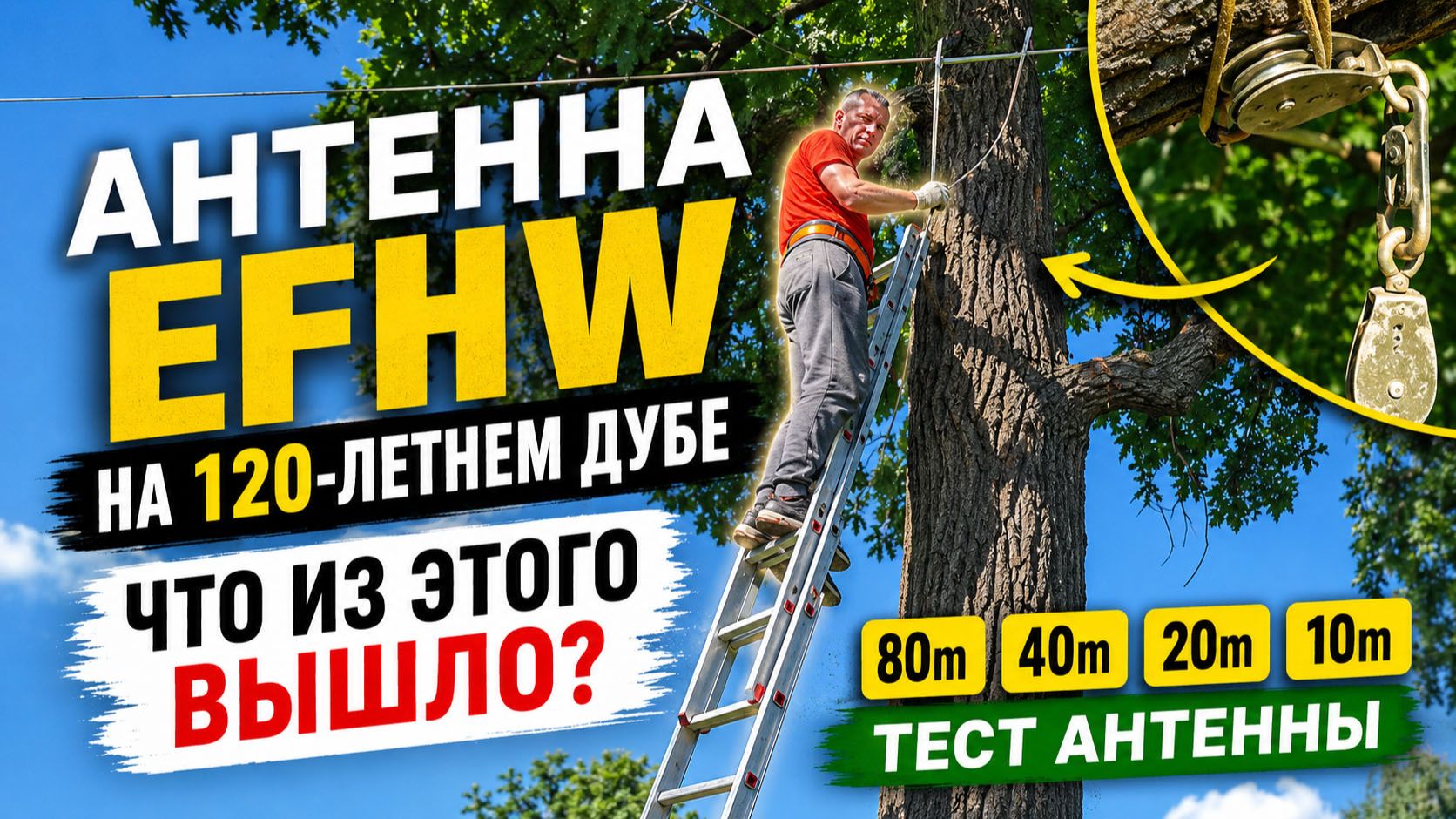 Антенна EFHW на 120 летнем дубе и что из этого вышло