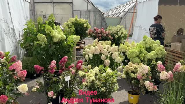 Картинки с выставки производителей посадочного материала-1