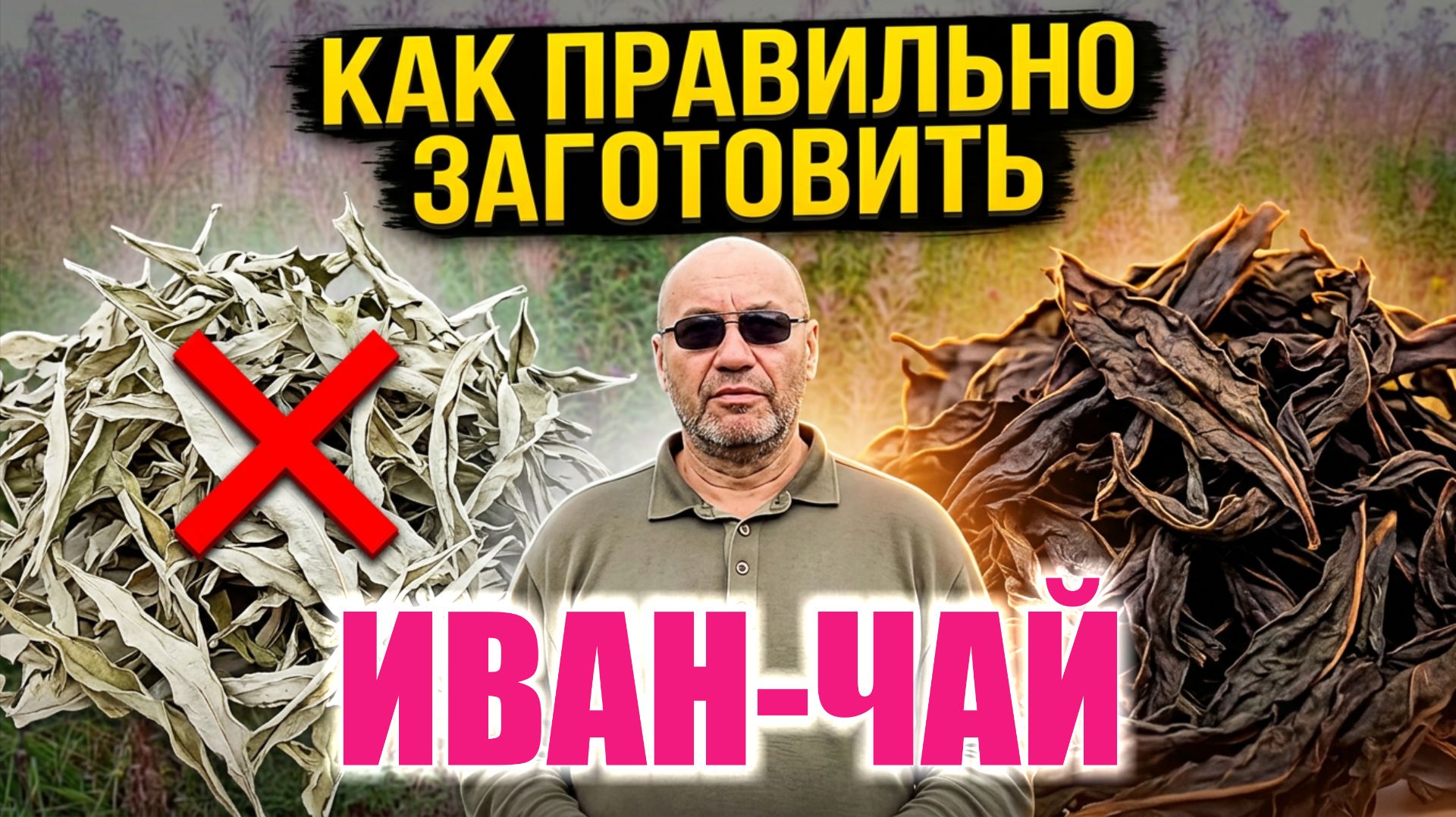 ПРАВИЛЬНАЯ ЗАГОТОВКА ИВАН ЧАЯ - СБОР И ПЕРЕРАБОТКА ПО ДРЕВНЕЙ РУССКОЙ МЕТОДИКЕ. Чай можно покупать.