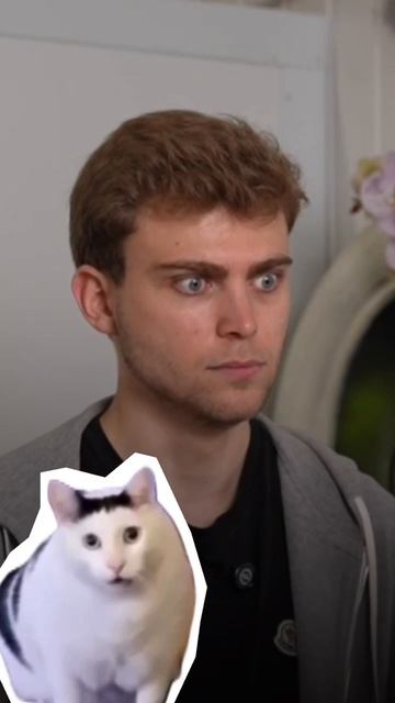 Опасные растения для детей и животных 🐾🪴