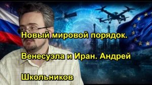 Новый мировой порядок. Венесуэла и Иран. Андрей Школьников
