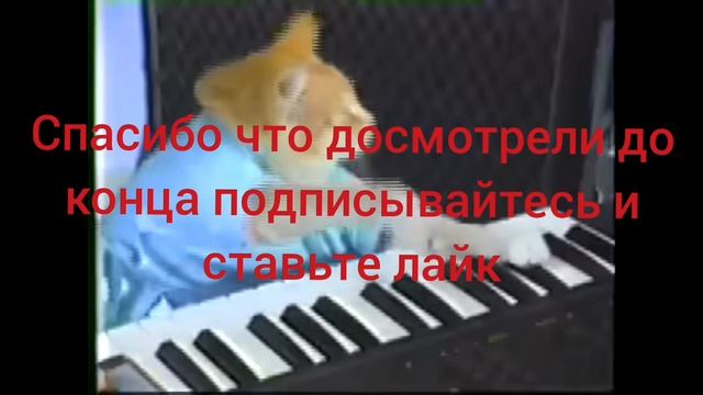 2 часть изменяем мир (Пушок)