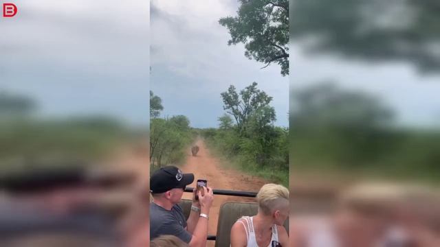 Туристы получили бнус в виде сафари
