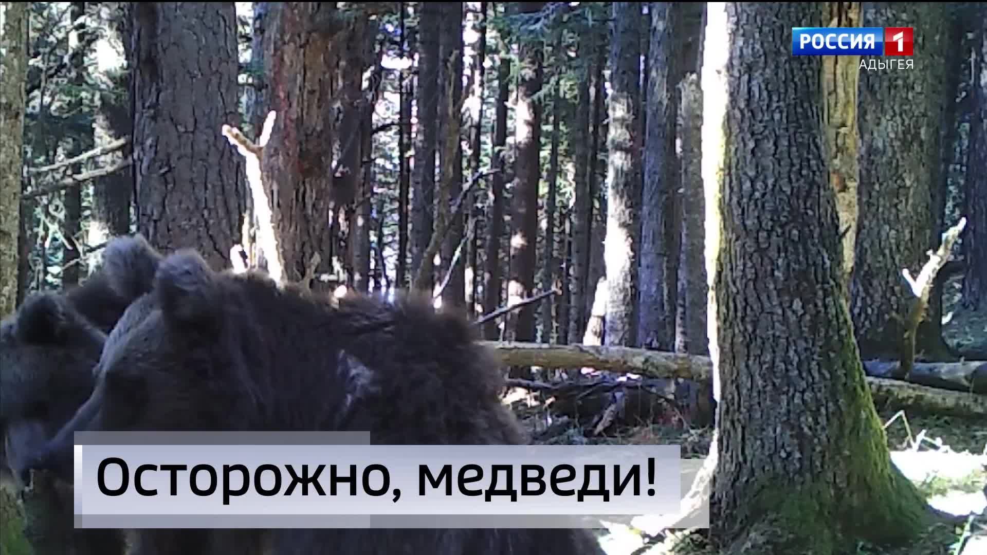 20.50«Местное время. Вести. Адыгея»    от  22.08.2026г.