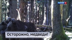 20.50«Местное время. Вести. Адыгея»    от  22.08.2026г.