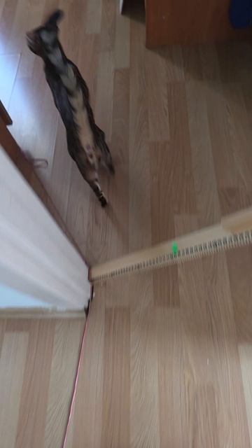 Мои выходные 🙈