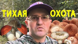 Тихая охота после дождя: собираем грибы в местном карьере