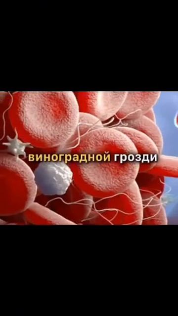 Об этом молчат врачи! Что происходит с клетками, нейронами при приёме алкоголя