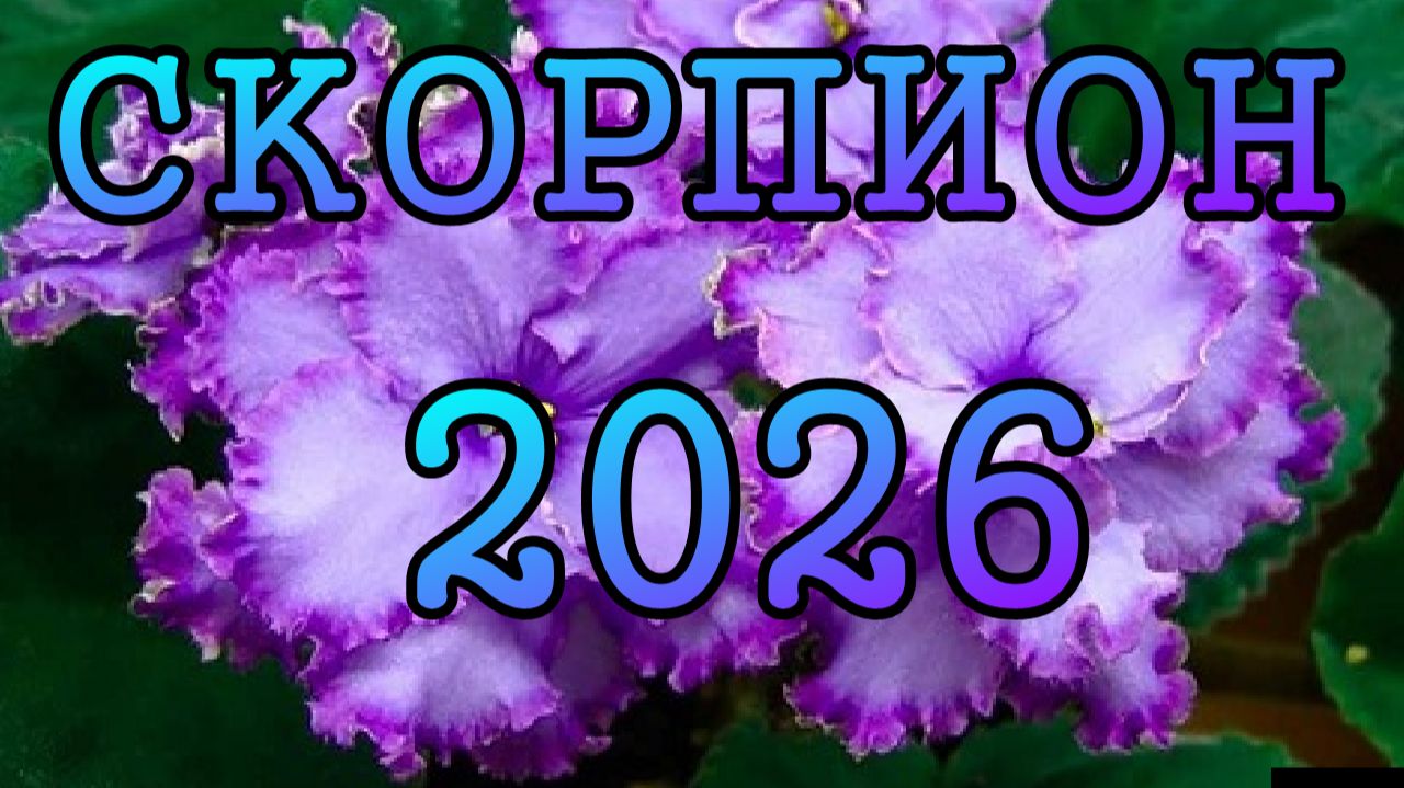 СКОРПИОН таро прогноз на 2026 ГОД.