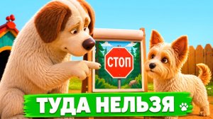 ШЕЛЛИ — 1 Серия: Туда нельзя! 🚫 (Премьера мультсериала)