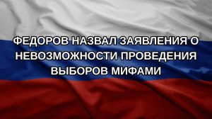 Федоров назвал заявления о невозможности проведения выборов мифами