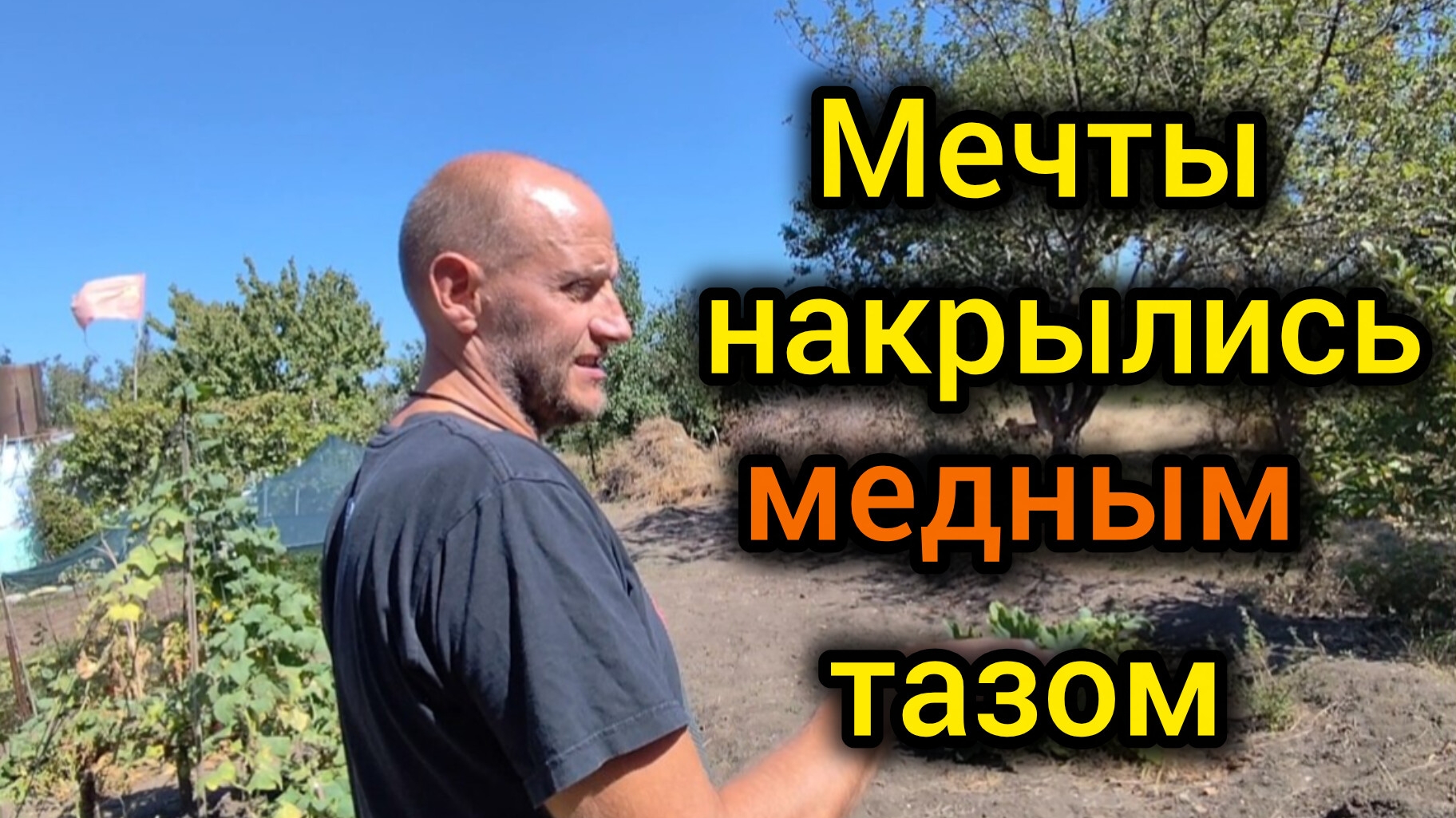 Мечты  НАКРЫЛИСЬ медным тазомНИЩЕНСТВУЕМ на ЮГЕУ нас ХОРОШИЕ НОВОСТИВкусные КАБАЧКИ рецепт