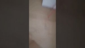 ДВА ЗВЕЗДИБИЛА серия 2 ТРОЛЛИНГ ВЛЮТУЮ (осторожно маты)
