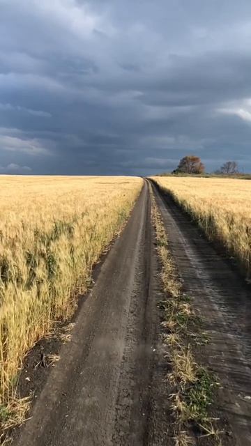 И в груди не страх , а пламя