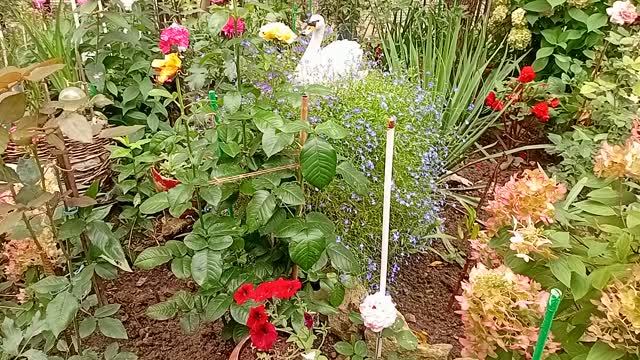 🍀🌳🌵🌷🌷🌷КЛУМБЫ В ГОРОДЕ