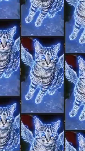 Видео Босса💖👑