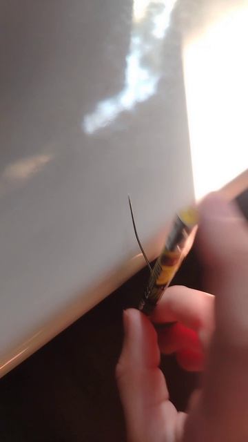 МУЗЫКАЛЬНЫЙ ИНСТРУМЕНТ😂🤣