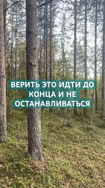 ДО КОНЦА