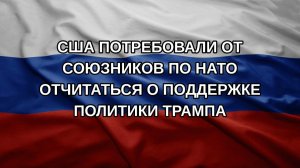 США потребовали от союзников по НАТО отчитаться о поддержке политики Трампа