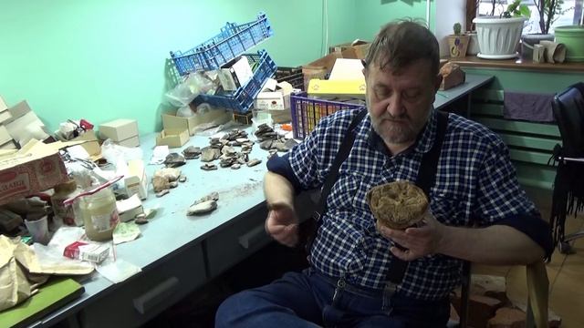 Этнографическая загадка. Кринка XIX в. из раскопа по сп. Молокова