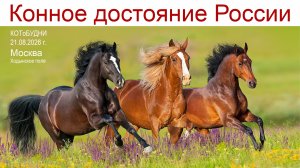 Конное достояние России в Москве или наши КОТоБУДНИ от 21.08.2026 г.