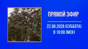 Анонс эфира 22.08.2026