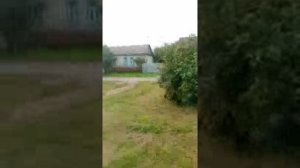 Цвет травли в Троице красный
