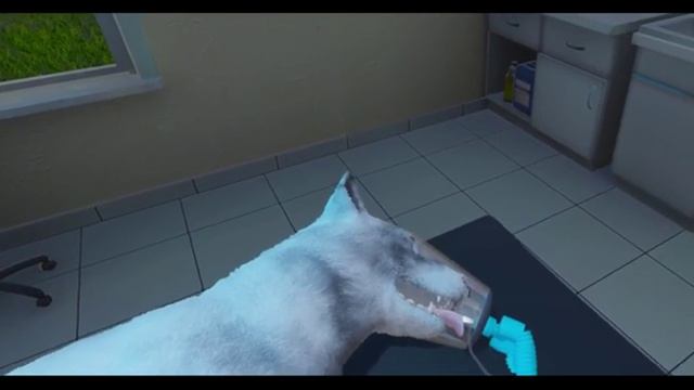 VetVR Veterinary Simulator