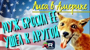 Муж ее бросил. Ушёл к другой. Лиса в Америке Обзор Funny 4