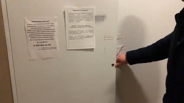 Купелинка 8 от ООО УК ЖКХ