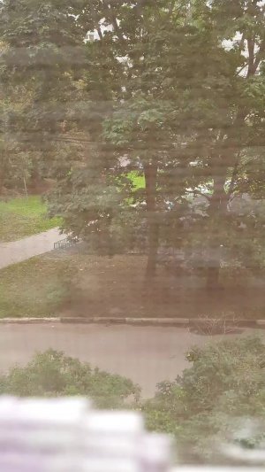 хахахахвхвхвхвхввхвхввхвхвхв