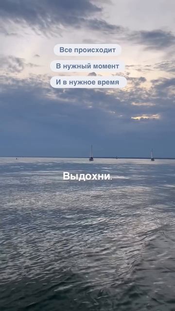 Иногда важно просто довериться жизни и продолжать идти своим шагом🤍