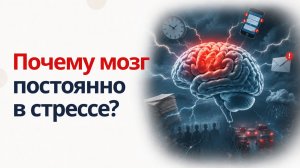 Почему мозг постоянно в стрессе?