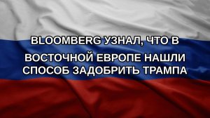 Bloomberg узнал, что в Восточной Европе нашли способ задобрить Трампа
