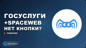 SpaceWeb и Госуслуги: как подтвердить домен без кнопки верификации?