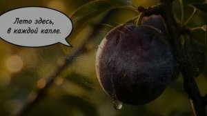 Ткемали