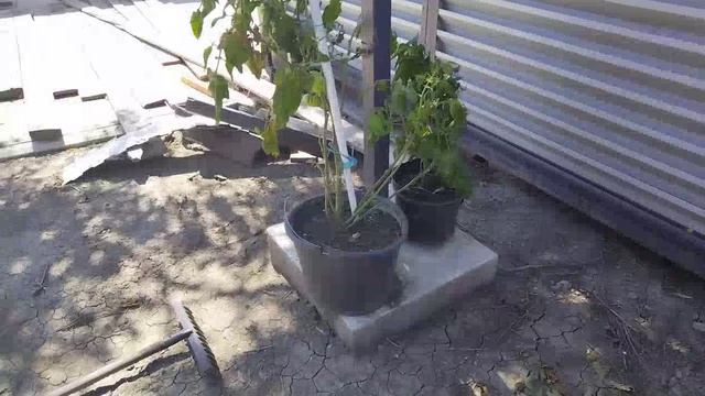 Поклали плитку. Сделали планировку участка. Готовим площадку под заливку бетоном.