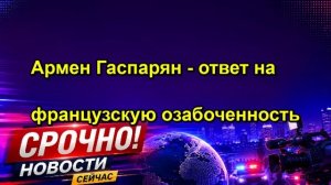 Армен Гаспарян ответ на французскую озабоченность