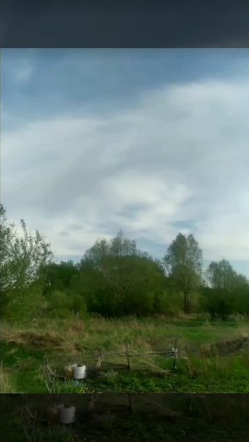 Вот и снова огород