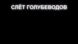 Очередной слёт голубеводов г Узловая.