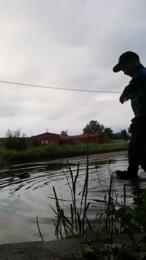 Череповец