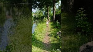 Первая рыбалка сына в Германии/мастер класс как чистить рыбу